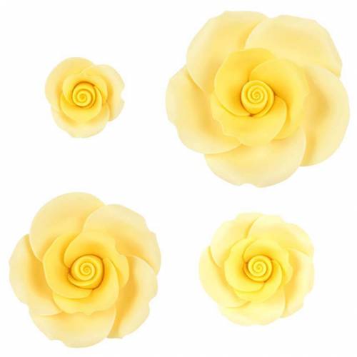 Rosa Kit Amarilla Azúcar 17 u.
