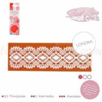 Sweet Lace Express Molde...