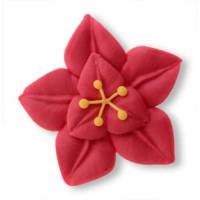 Flor Pascua Glasa Real 96 u.