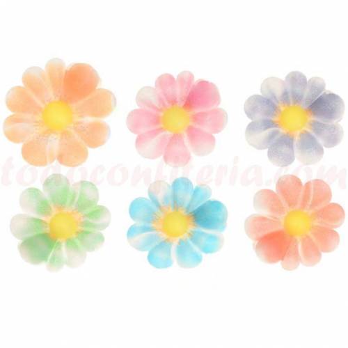 Margarita Difuminada Pequeña Oblea...