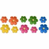 Anémona Fluorescente Azúcar...