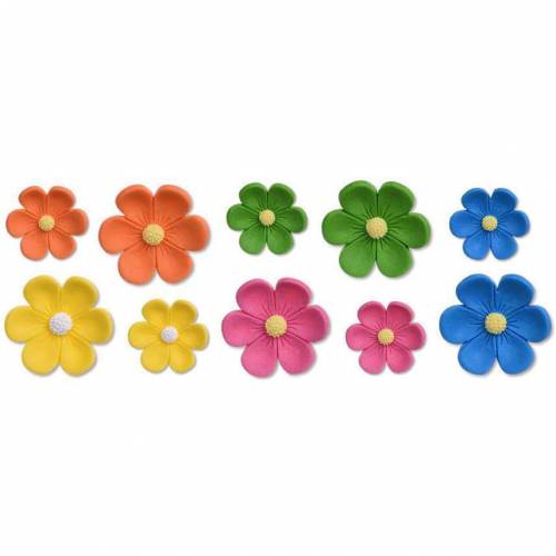 Anémona Fluorescente Azúcar 120 u.