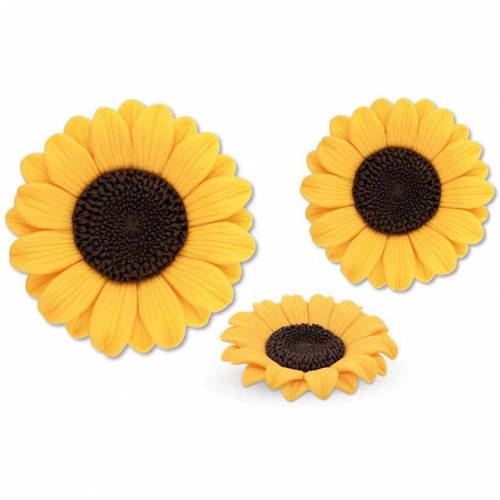 Girasol Surtido Pastillaje 18 u.