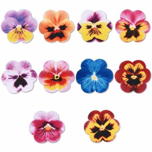 Pensamiento Azúcar 100 u.