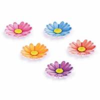 Margarita Pintada Azúcar...