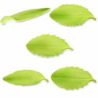 Hoja Lanceolada Azúcar 100 u.