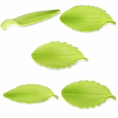 Hoja Lanceolada Azúcar 100 u.