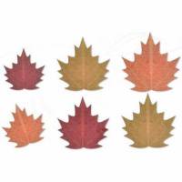 Hoja Surtida Otoño Oblea...
