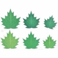 Hoja Surtida Primavera...