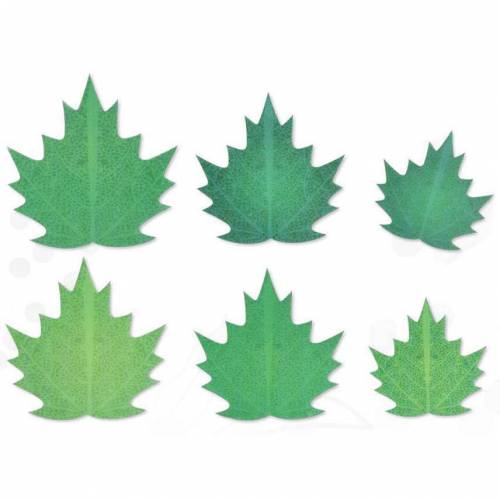 Hoja Surtida Primavera Oblea 272 u.