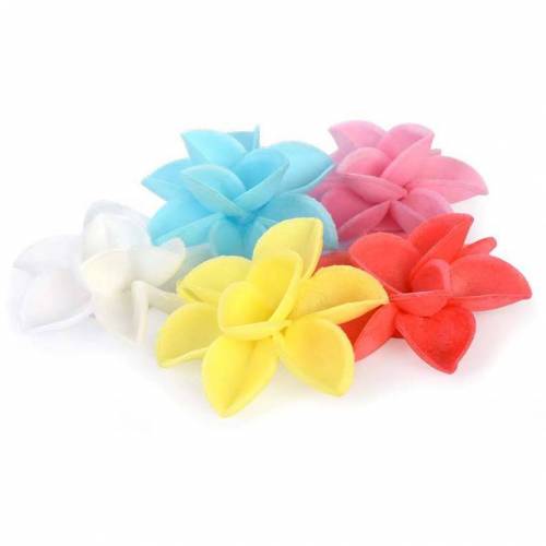 Rosa Salvaje Surtida Oblea 100 u.