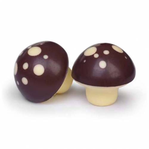 Seta Marrón Chocolate Blanco 48 u.