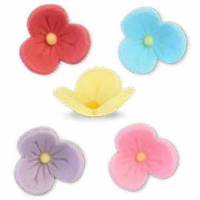 Margarita Color Mini 3...