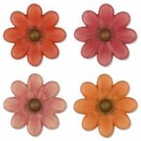 Gerbera Chocolate Blanco...