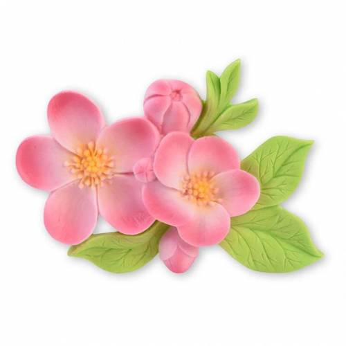 Flor Melocotón Azúcar 12 u.