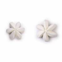 Merenguillo Estrella Blanco...