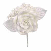 Rosa Blanca Pintado Baja...