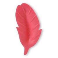 Pluma Magenta Oblea 200 u.