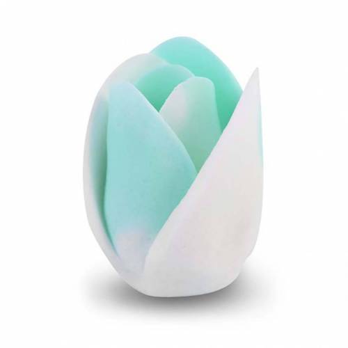 Tulipán Matizado Azul Tiffany Azúcar... Tulipán Matizado Azul Tiffany Azúcar...