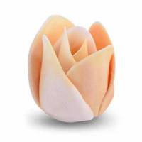 Tulipán Matizado Ámbar...