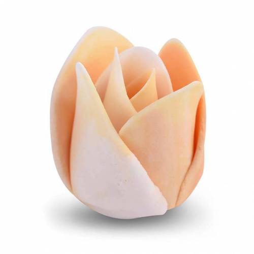 Tulipán Matizado Ámbar Claro Azúcar...