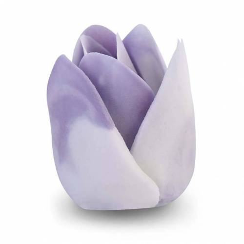 Tulipán Matizado Lila Pastel Azúcar...