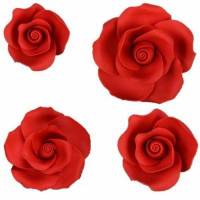 Rosa Kit Rojo Azúcar 17 u.