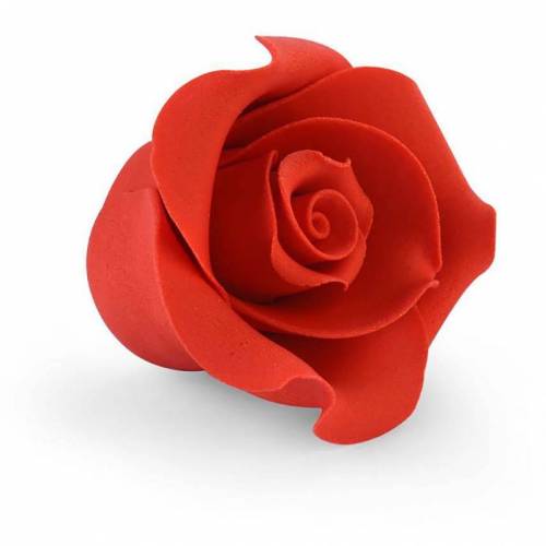 Rosa Mediana Roja Azúcar 36 u.