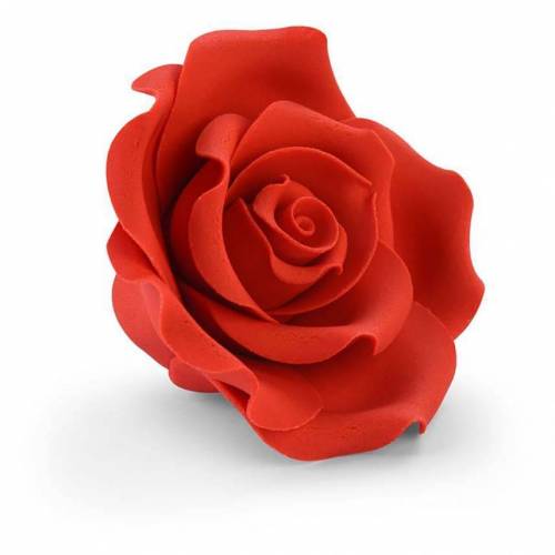 Rosa Grande Roja Azúcar 18 u.