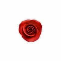 Rosa Mediana Roja Azúcar 36 u.