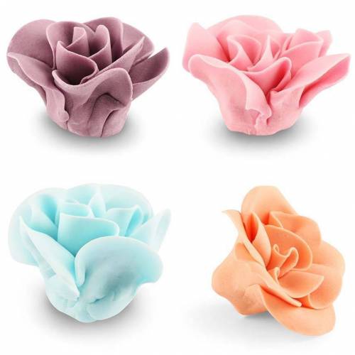 Balsamina Azúcar 12 u.