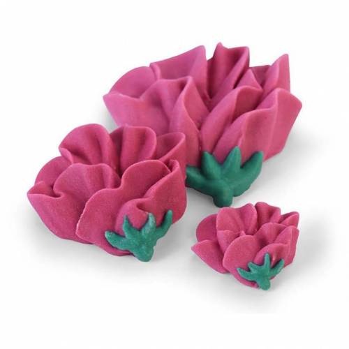 Peonía Jacorma Azúcar 100 u. Peonía Jacorma Azúcar 100 u.