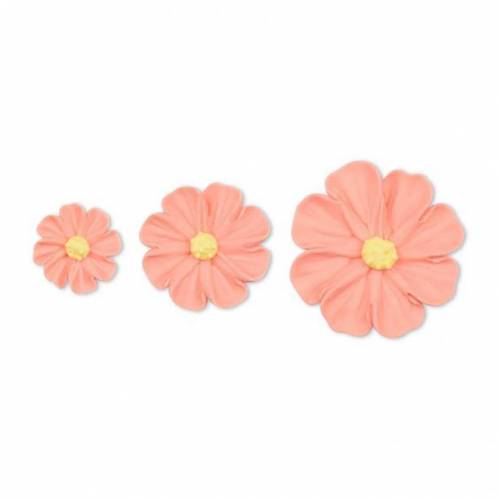 Geranio Azúcar 100 u.