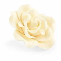 Rosa Marfil Mediana Azúcar...
