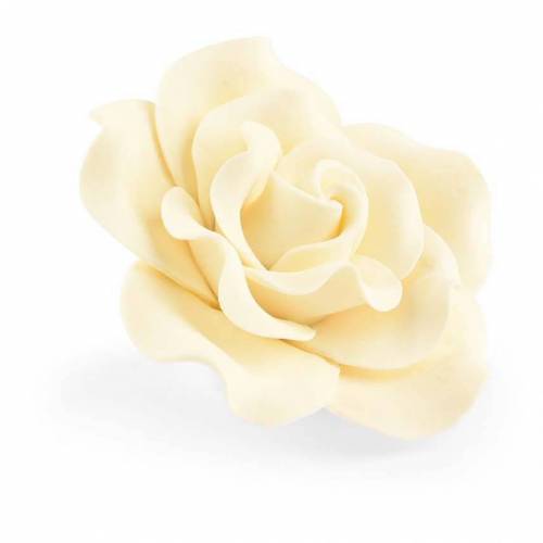 Rosa Marfil Mediana Azúcar 8 u.