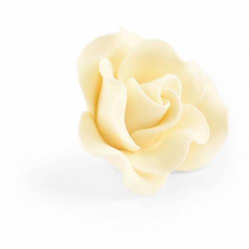 Rosa Marfil Pequeña Azúcar 28 u.