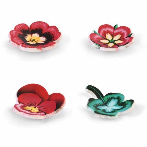 Pensamiento Trebol Azúcar 100 u.