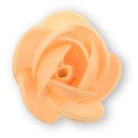 Rosa Flavia Primavera...