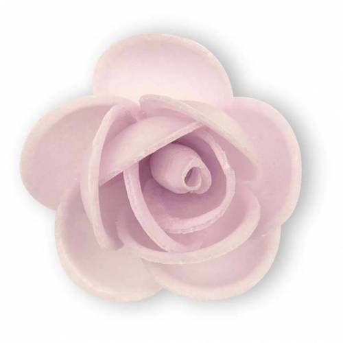 Rosa Flavia Primavera Lila Oblea 200 u.