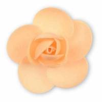 Rosa Linda Primavera...