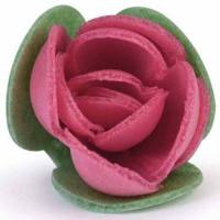 Rosa Hoja Redonda Fucsia...