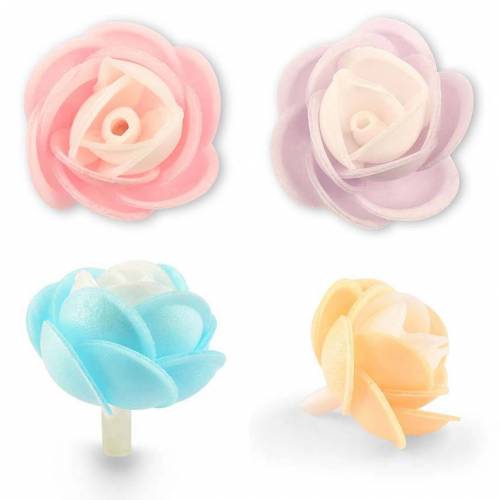 Ranúnculo Bicolor Oblea 100 u.