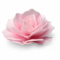 Rosa Romántica Rosa Oblea
