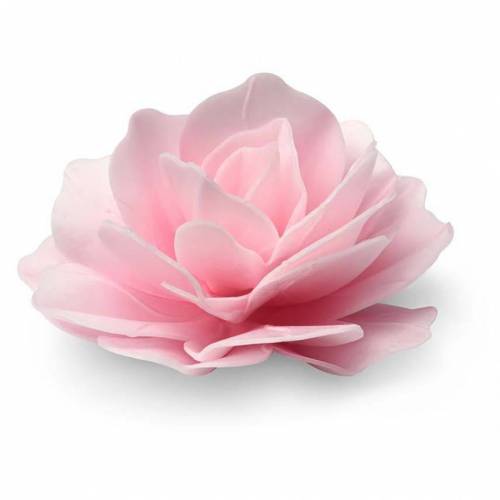 Rosa Romántica Rosa Oblea