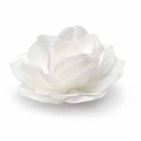 Rosa Romántica Blanca Oblea