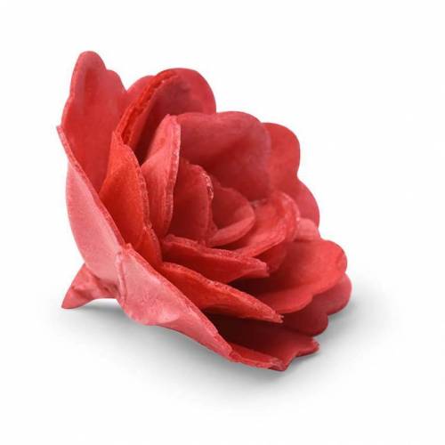 Rosa China Roja Oblea 18 u.