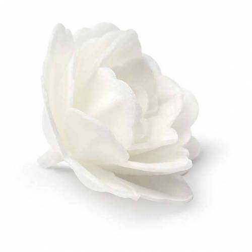 Rosa China Blanca Oblea 18 u.