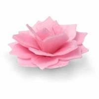 Rosa Capa Rosa Oblea 15 u.