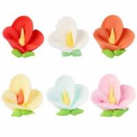 Boca de León Glasa Real 144 u.