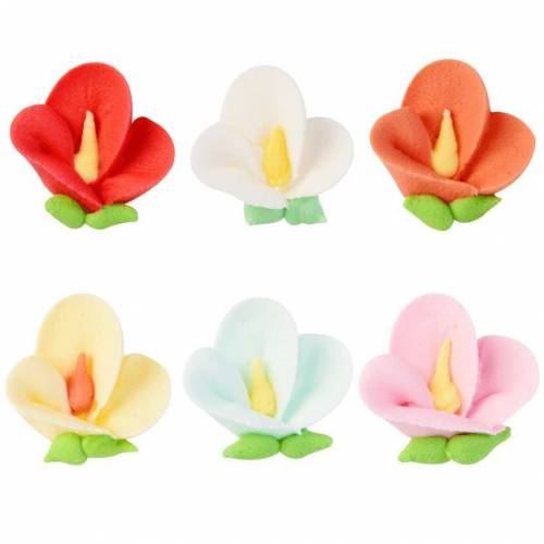 Boca de León Glasa Real 144 u.